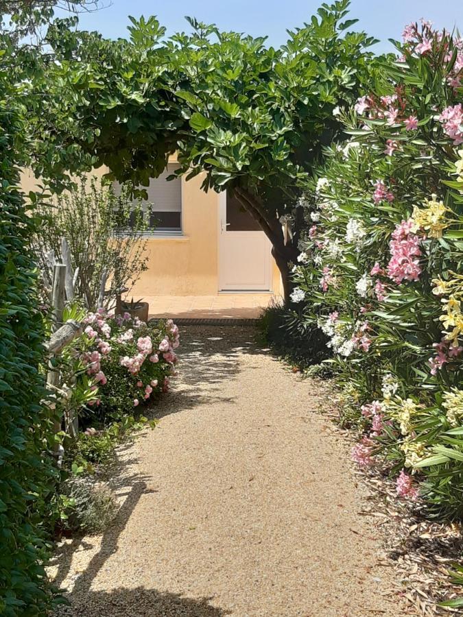 Petite Maison De Campagne Gardoise Théziers Zewnętrze zdjęcie